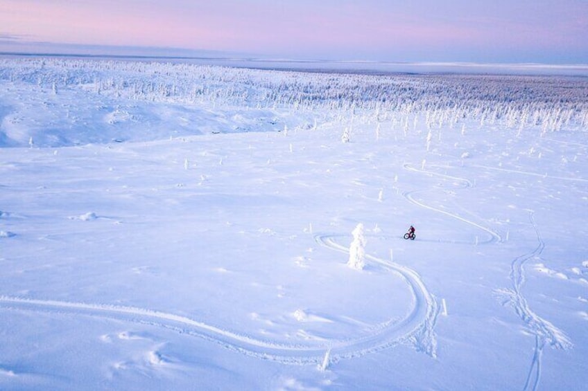 When conditions allow, we can climb to the open fells and the best sceneries on the Earth. 