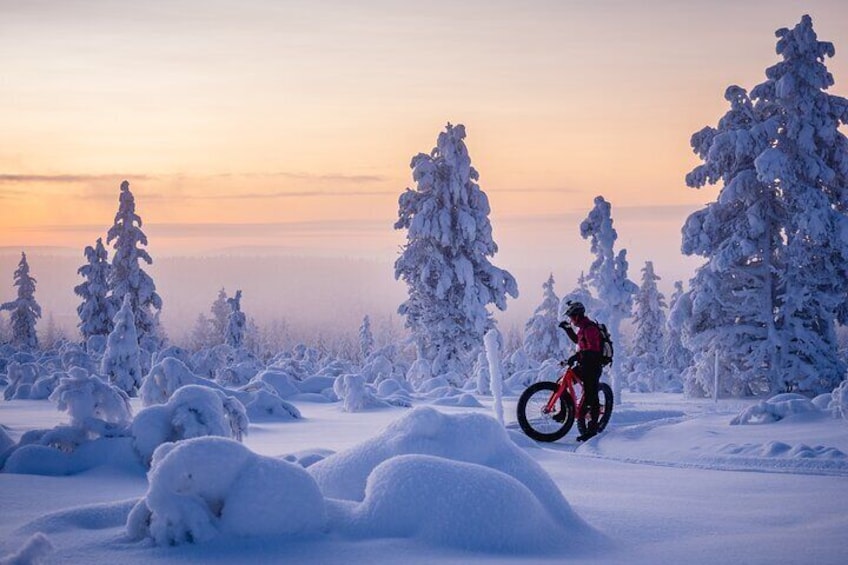  Winter afternoon group Ride in Saariselkä