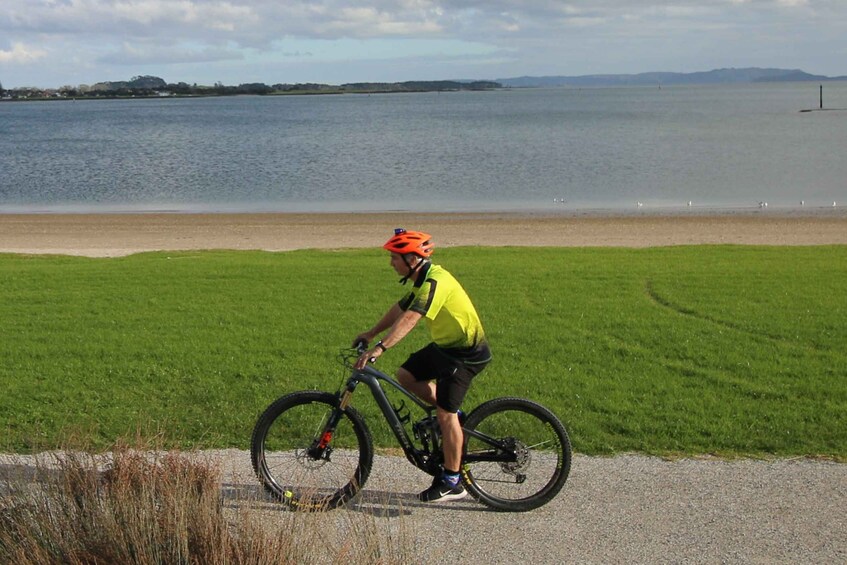 Picture 10 for Activity Auckland Half-Day Ebike Tour Excursion