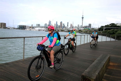 Escursione di mezza giornata in bicicletta ad Auckland