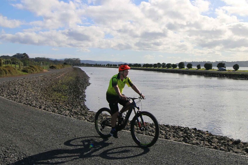 Picture 4 for Activity Auckland Half-Day Ebike Tour Excursion