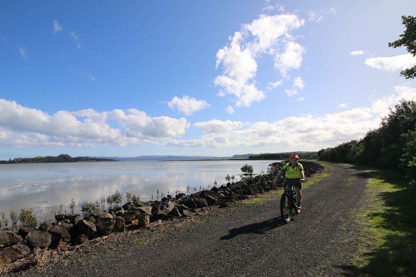 Picture 2 for Activity Auckland Half-Day Ebike Tour Excursion