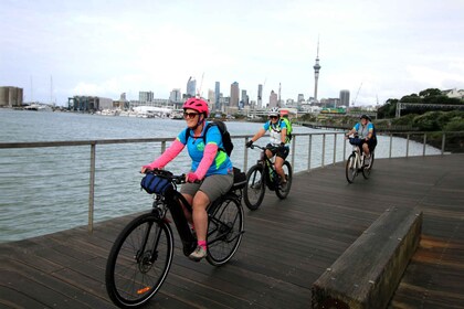 Auckland halvdags udflugt på elcykel