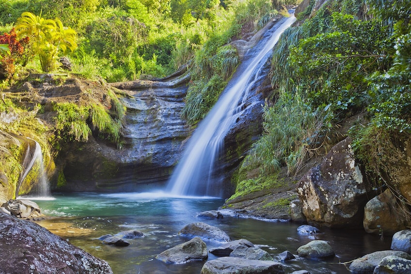 Discover Grenada by Land and Sea