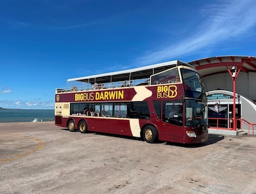 Darwin Hop-On Hop-Off Bus Tour