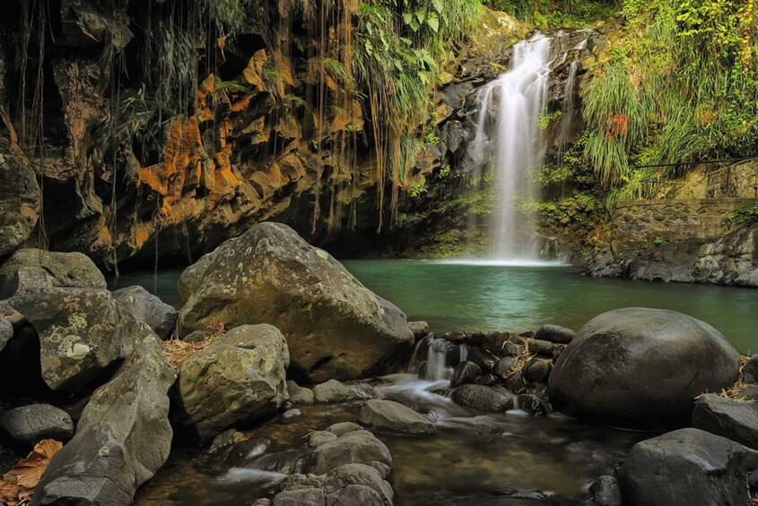 Best Of Grenada Historical Spice Tour and Annandale Waterfall Experience