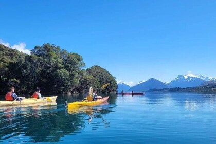 Private Guided Kayaking Activity In Glenorchy Island Safari