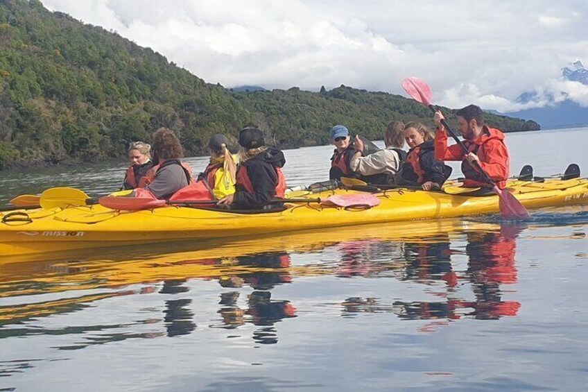 Private Guided Activity In Glenorchy Island Safari