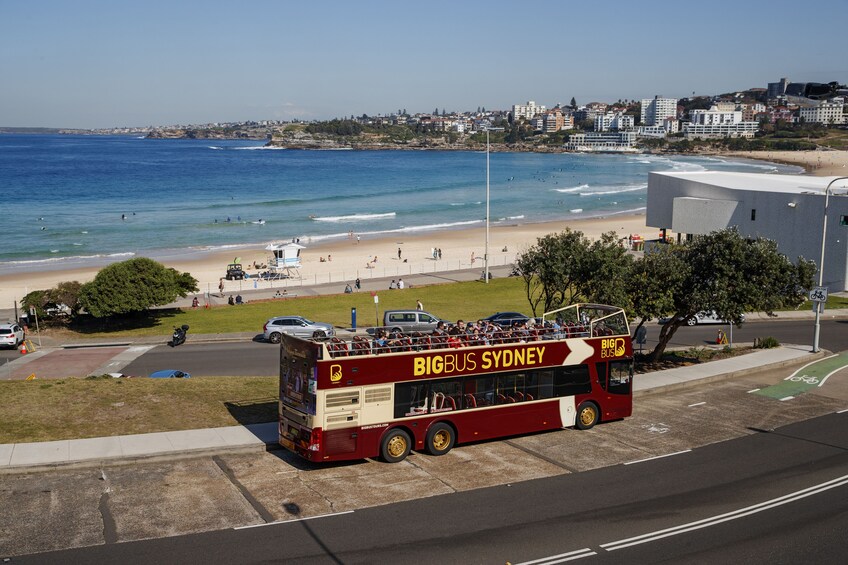 Sydney Hop-On Hop-Off Big Bus Tour