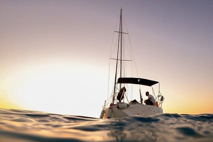 Private Asinara and La Pelosa Sunset Sailing Tour