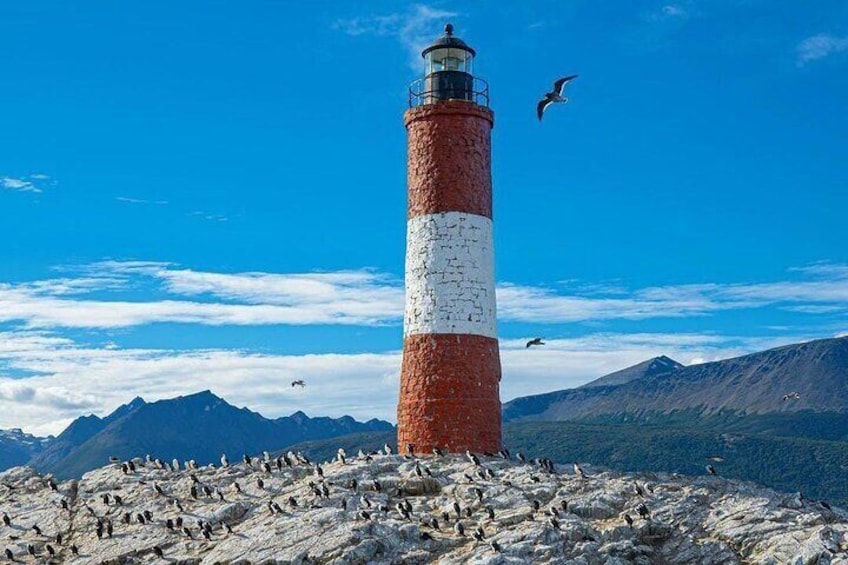 Half Day Tour through the Beagle Channel to Isla de Lobos and Pinguinera