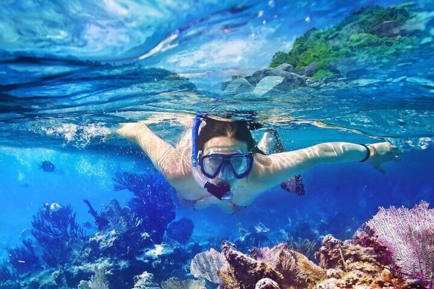 Private Tour to Saona Island with Snorkeling Included