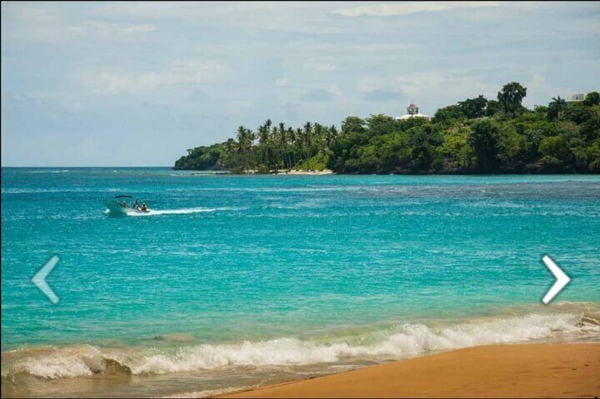 Private Tour to Saona Island with Snorkeling Included