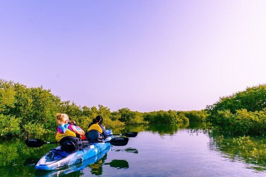 4 Hours Purple Island Mangroves Kayaking Adventure in Qatar