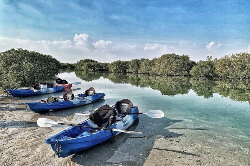 4 Hours Purple Island Mangroves Kayaking Adventure in Qatar