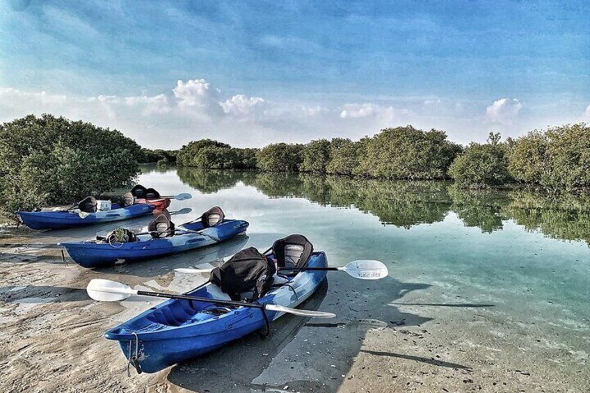 4 Hours Purple Island Mangroves Kayaking Adventure in Qatar
