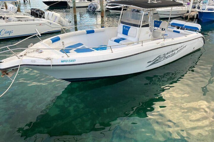 Pigs Beach, Green Turtle Cay, Rose Island Private Tour
