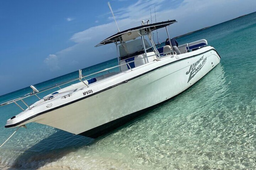 Pigs Beach, Green Turtle Cay, Rose Island Private Tour