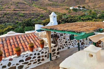 Canarian farmhouse in Mogan, mango farm and vermouth factory