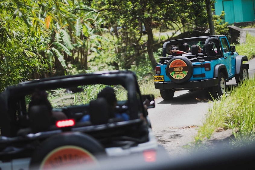 Grenada Historical Jeep, Rainforest and Waterfall Experience