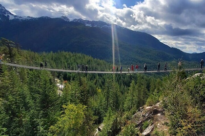 Private Tour: Stanley Park, Sea to Sky Gondola & Whistler