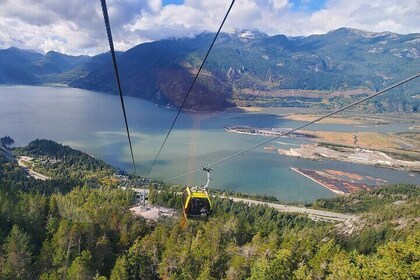 Private Tour: Stanley Park, Sea to Sky Gondola & Whistler