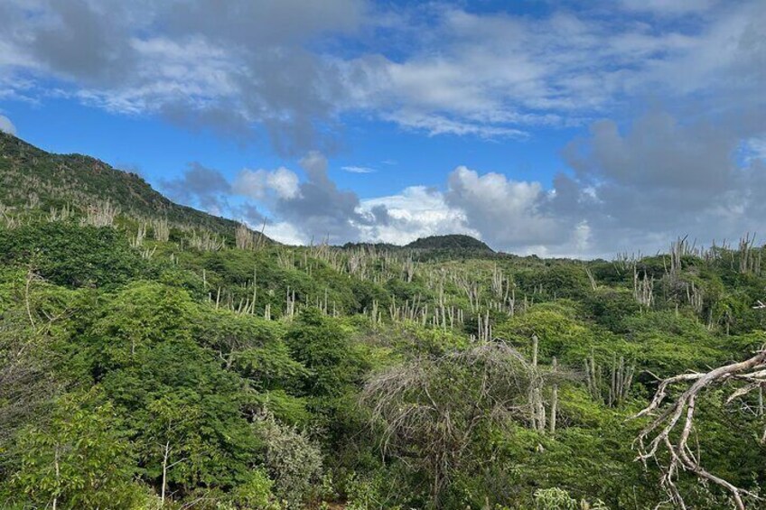 Peek-a-boo views and hiking shoes #TrailTales