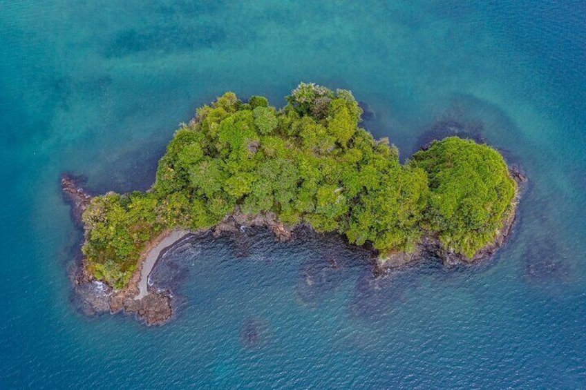 Jungle & Sea Mogos - Osa Peninsula