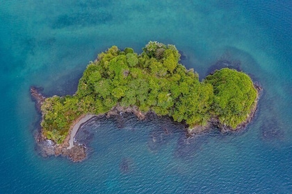 Jungle & Sea Mogos - Osa Peninsula