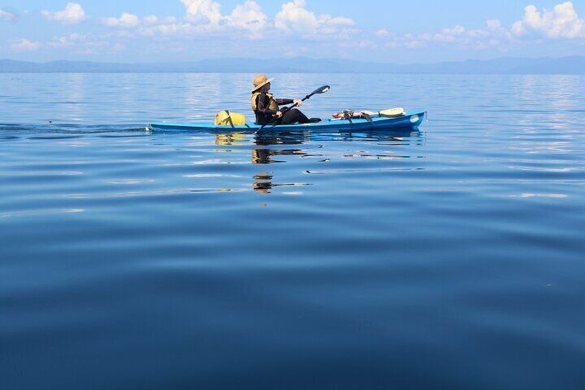 Jungle & Sea Mogos - Osa Peninsula