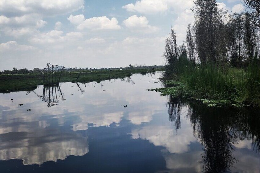 Private Tour Meet and Eat in a Chinampa of Xochimilco