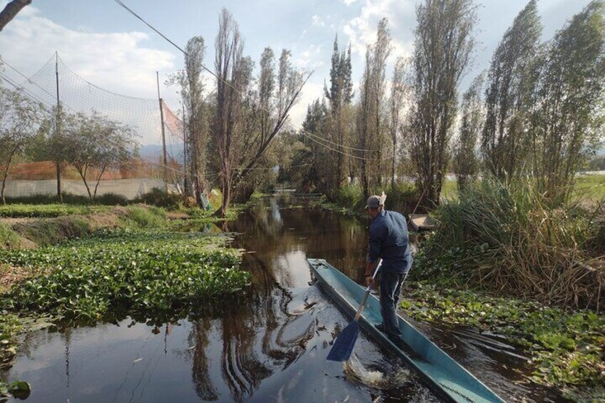 Private Tour Meet and Eat in a Chinampa of Xochimilco