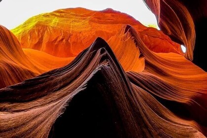 Half Day Tour of Upper and Lower Antelope Canyon from Page Arizona