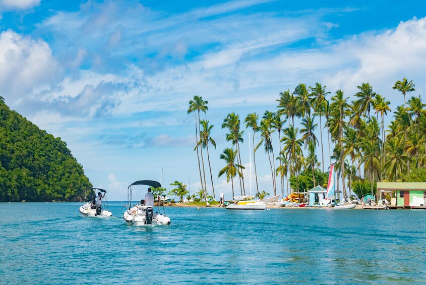 St. Lucia Drive and Snorkel Experience
