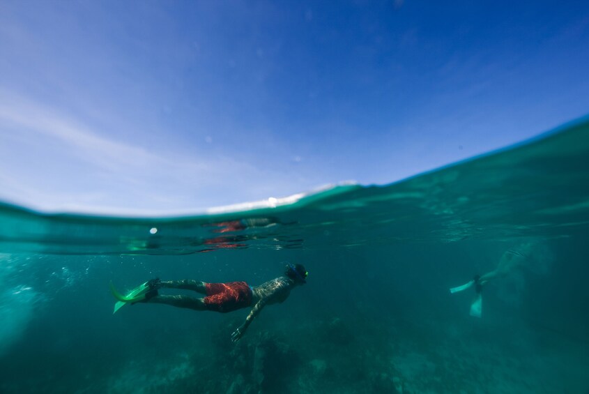 Iguana Island and Conch Cooking Experience Provo