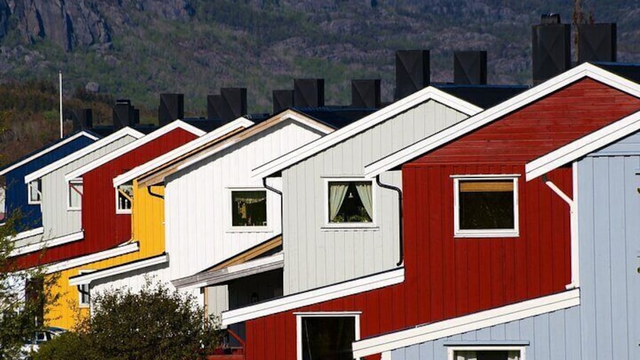 Trondheim Private Walking Tour