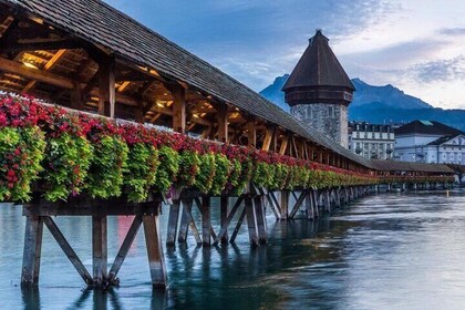 Luzern Privater Rundgang mit einem Lokalen Reiseführer