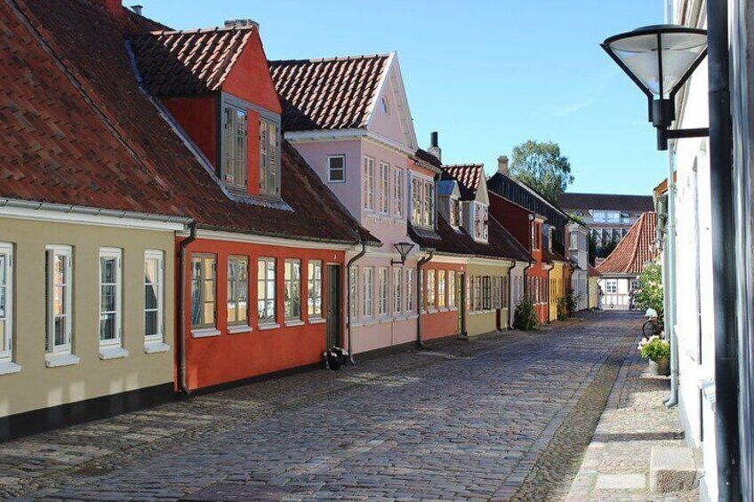 Odense Private Walking Tour