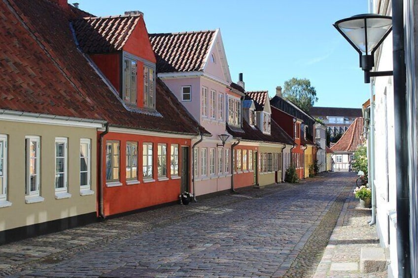 Odense Private Walking Tour
