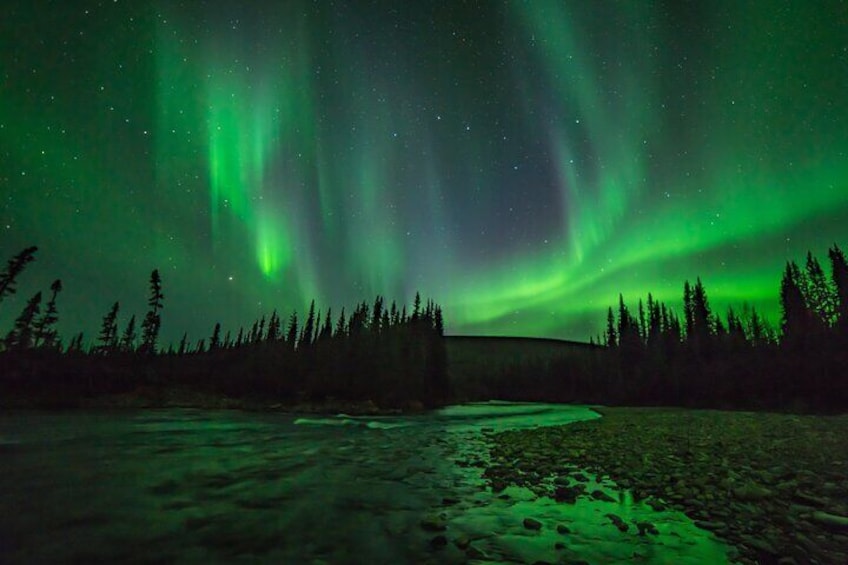 Fall Aurora Mushing Cart Ride Bucket List Adventure