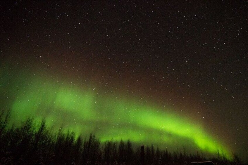 Fall Aurora Mushing Cart Ride Bucket List Adventure