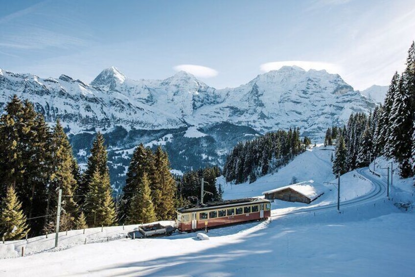 Full Day Private Guided Scenic Train Tour to the Swiss Alps