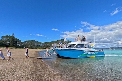 Carta privada: Crucero por el agujero de la roca con escalas en la isla