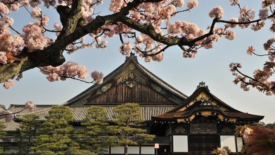 Kyoto 1 Day Trip-Golden Pavilion & Kiyomizu temple from Osaka