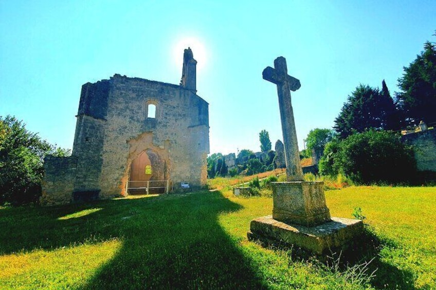 Ribera Del Duero Wine Tour