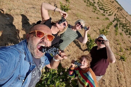 Ribera del Duero-Tour: 4 Weingüter, 12 WEINE, Verkostung und MITTAGESSEN