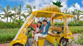 Sightseeing Bus Tour with Okinawa Churaumi Aquarium & Nago Pineapple Park