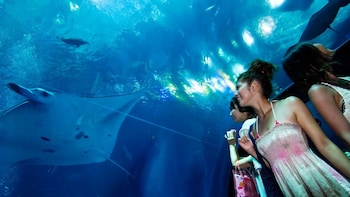 Sightseeing Bus Tour with Okinawa Churaumi Aquarium & Dai Sekirinzan Park