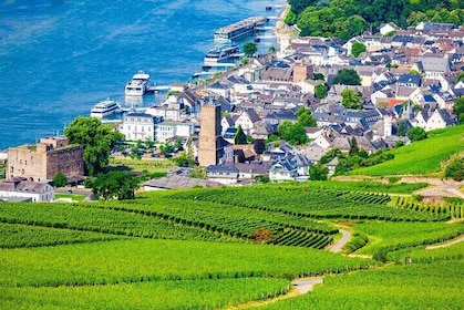 Full Day Private Rhine Valley Wine Tour Experience from Frankfurt