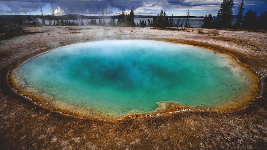 West Thumb Self-Guided Audio Walking Tour